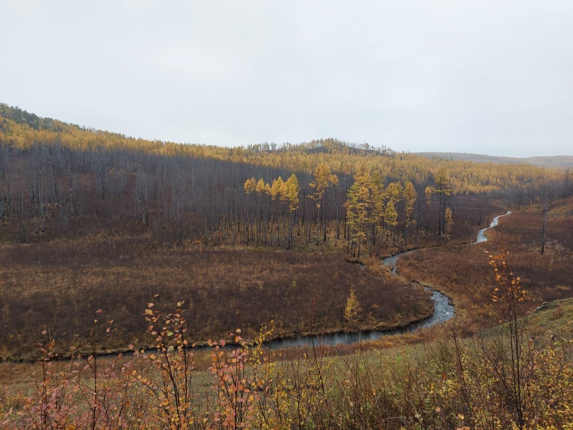 Photo #5836078
