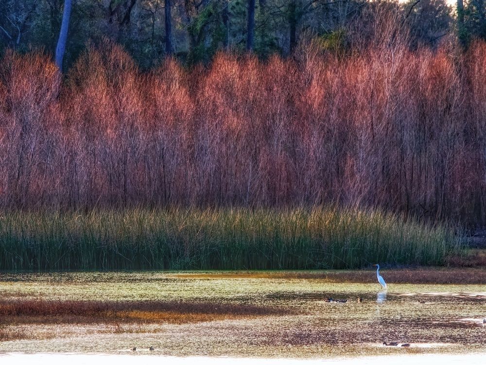 Photograph by Daniel Paredes