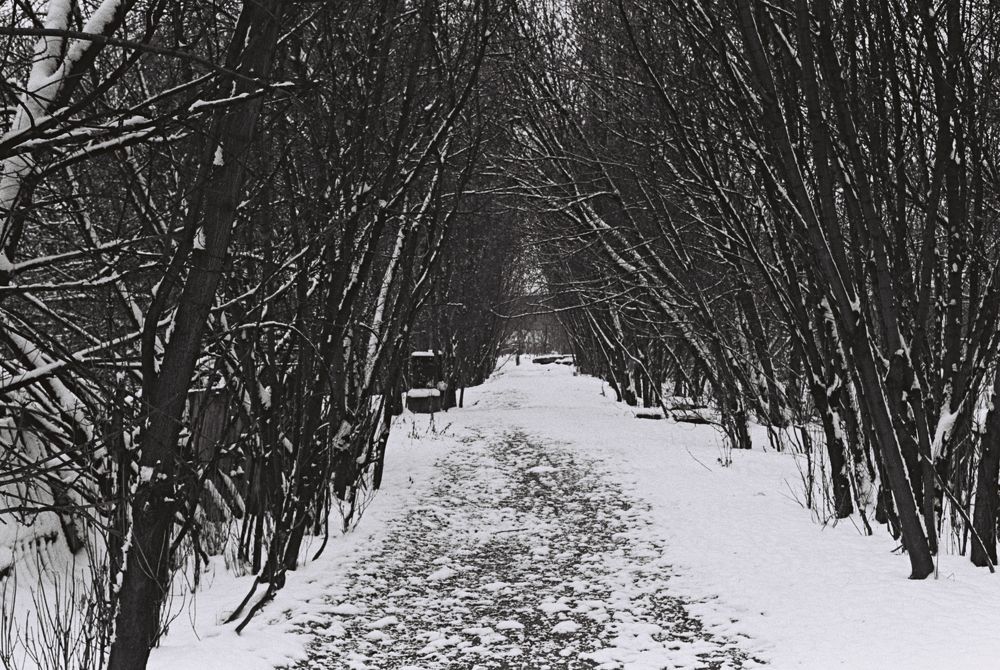 Photograph by Антон Гапоненко