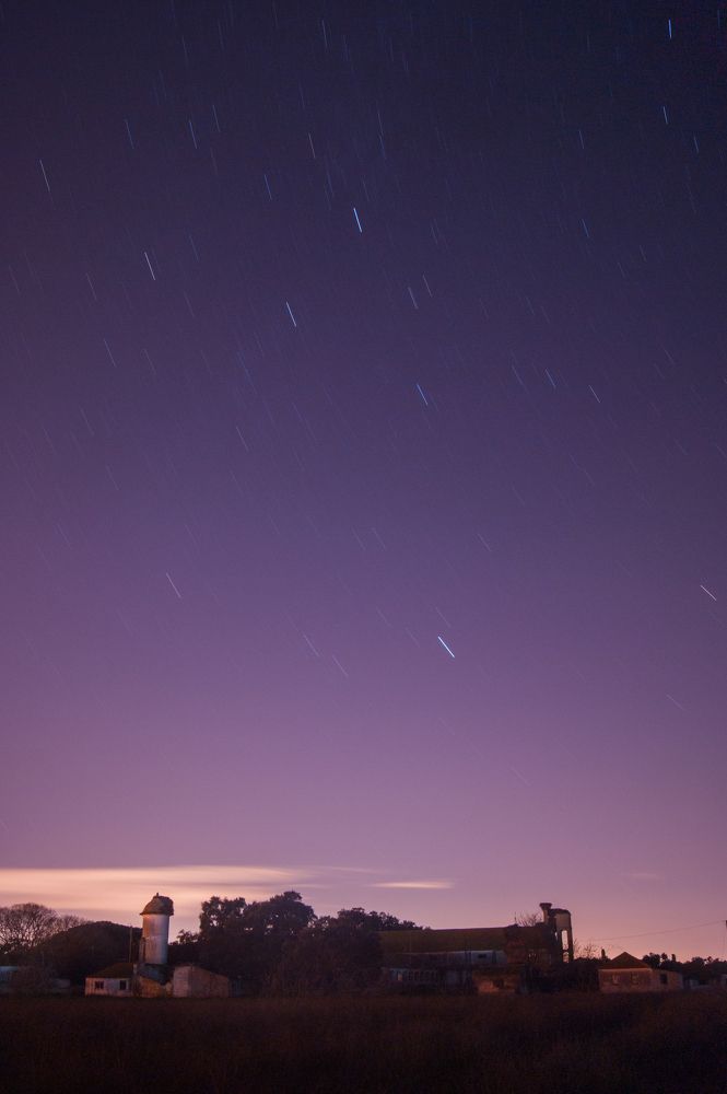 Photograph by David Dores