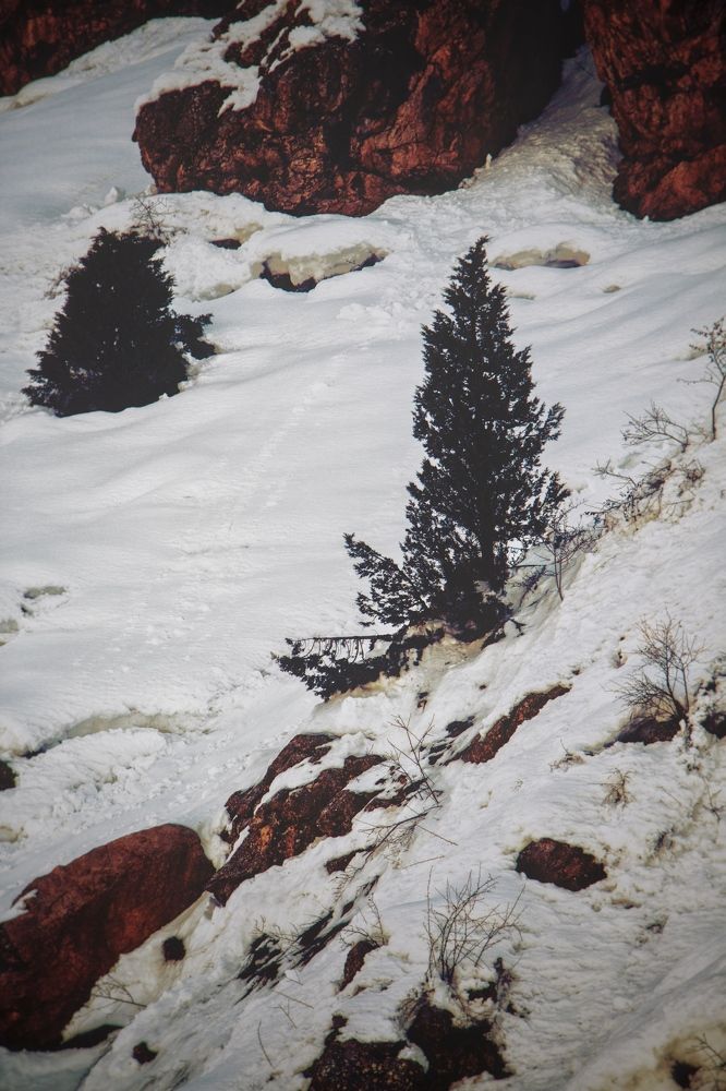 Photograph by Mohammad Javady