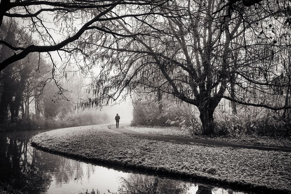 Photograph by Farzad Ariannejad