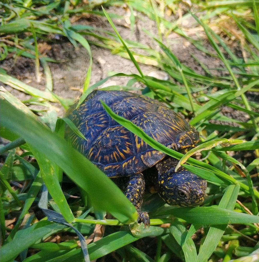 Photograph by Ольга Худорожко