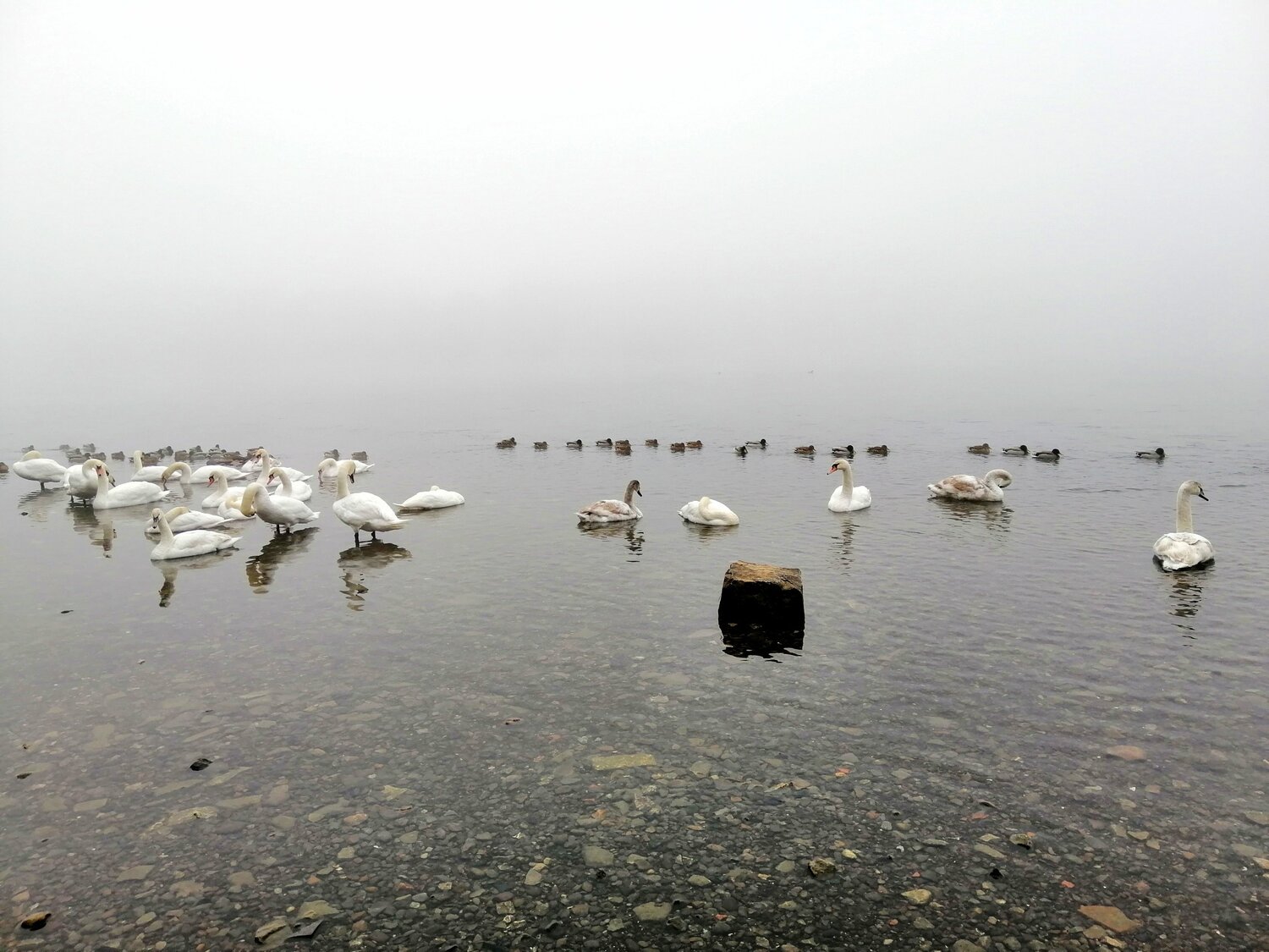 Photo #5836207