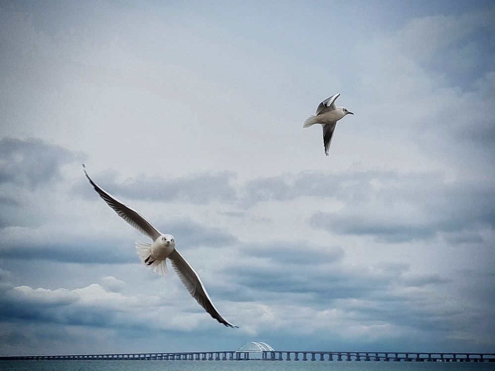 Photograph by Лариса Когтева