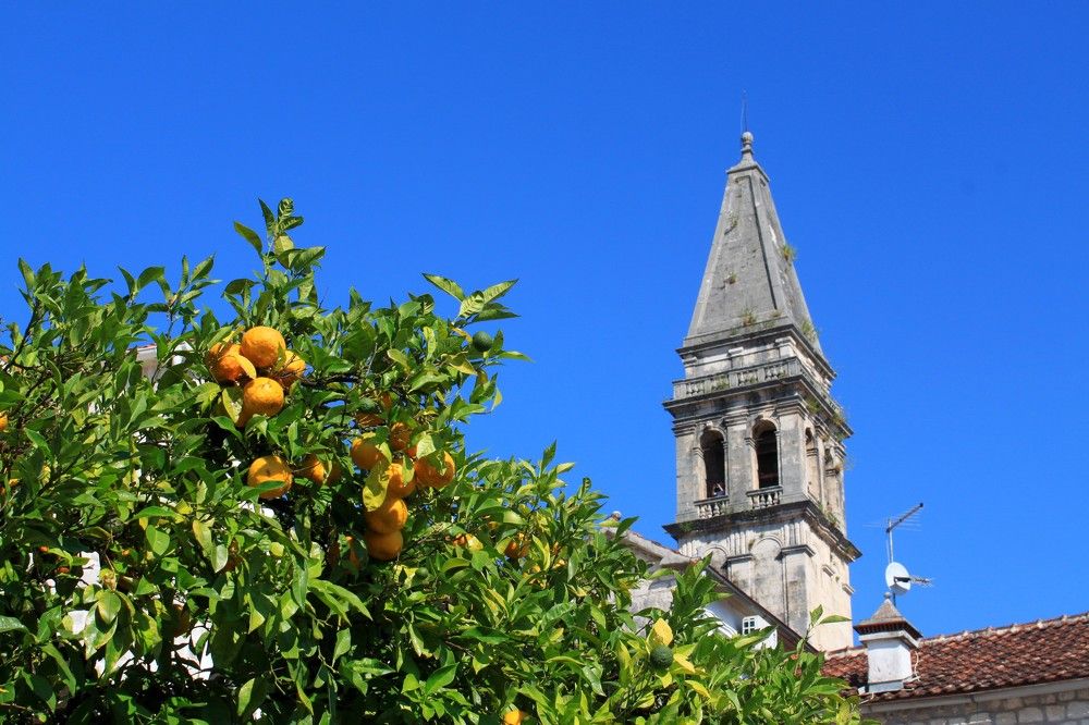 Photograph by Анастасия Солодкая