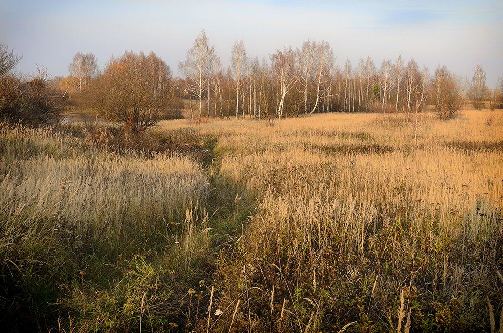 Photograph by Viktor Korotnev