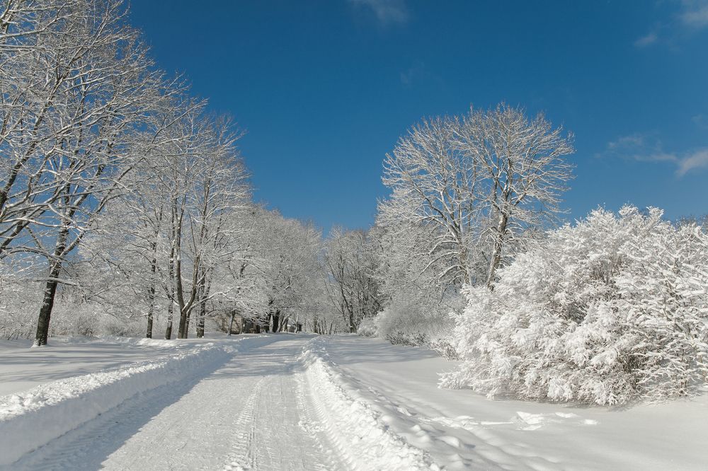 Photograph by фатова ольга игоревна