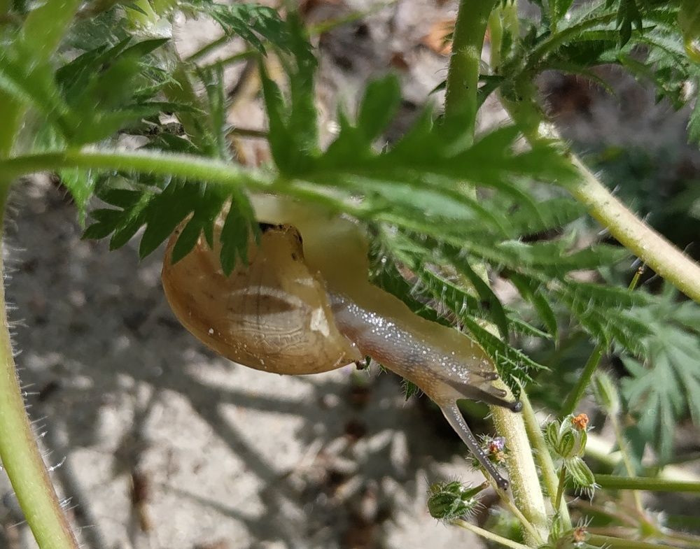 Photograph by Ольга Худорожко