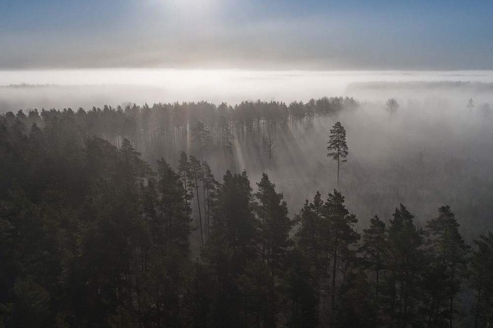 Photograph by Gatis Vilbrants