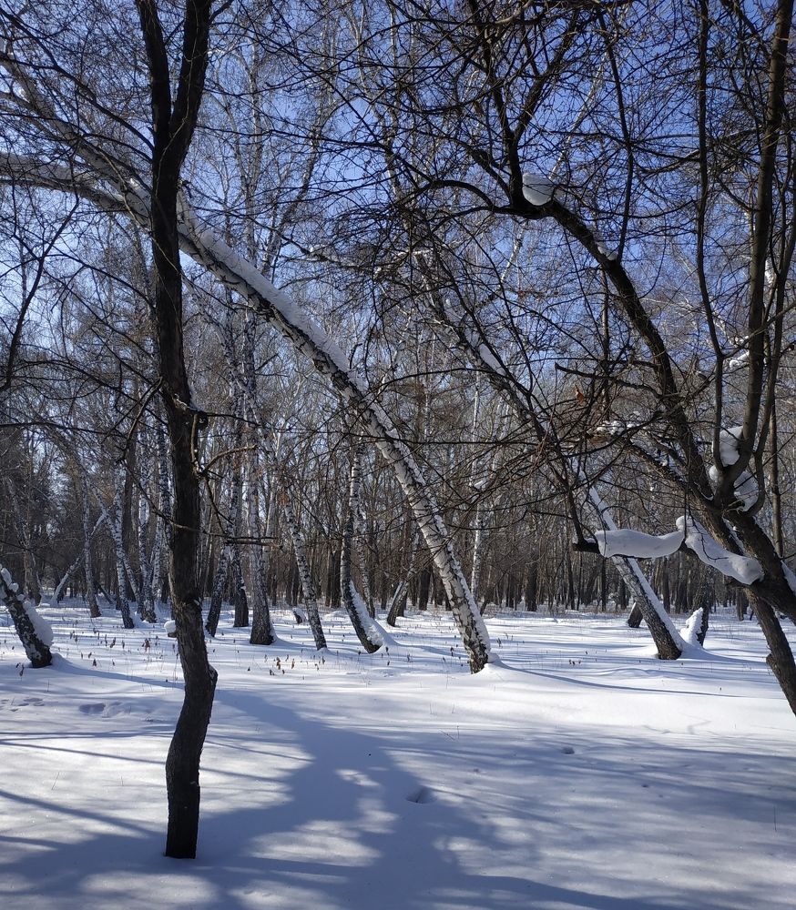 Photograph by Ольга Худорожко