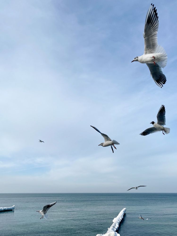 Photograph by Анастасия Кавешникова