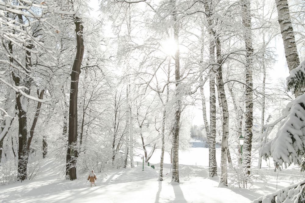 Photograph by фатова ольга игоревна