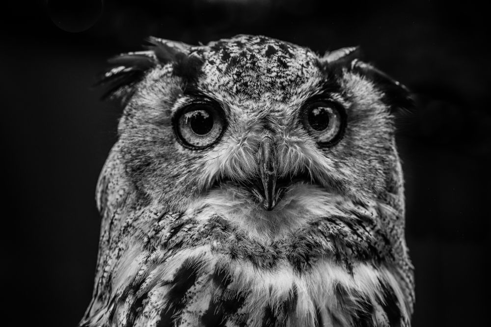 Photograph by Jessica Catarino