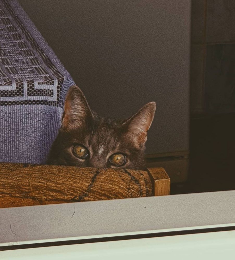 Photograph by Natalija Bucinska