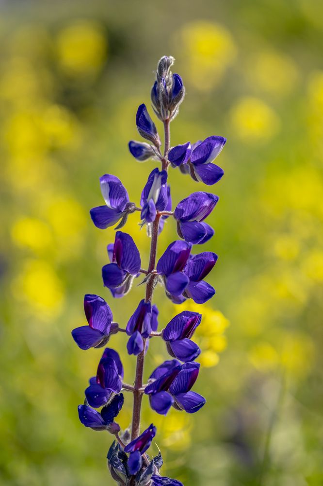 Фотография автора Nikolay Tatarchuk