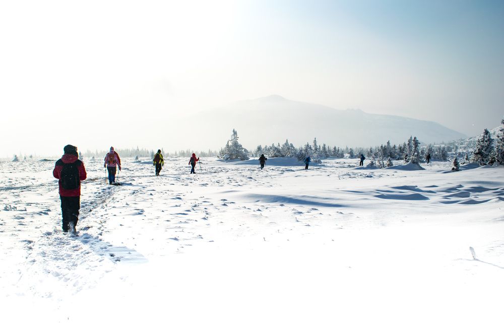 Photograph by Елизавета Никулина