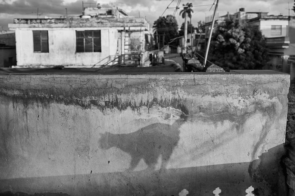 Photograph by Néstor