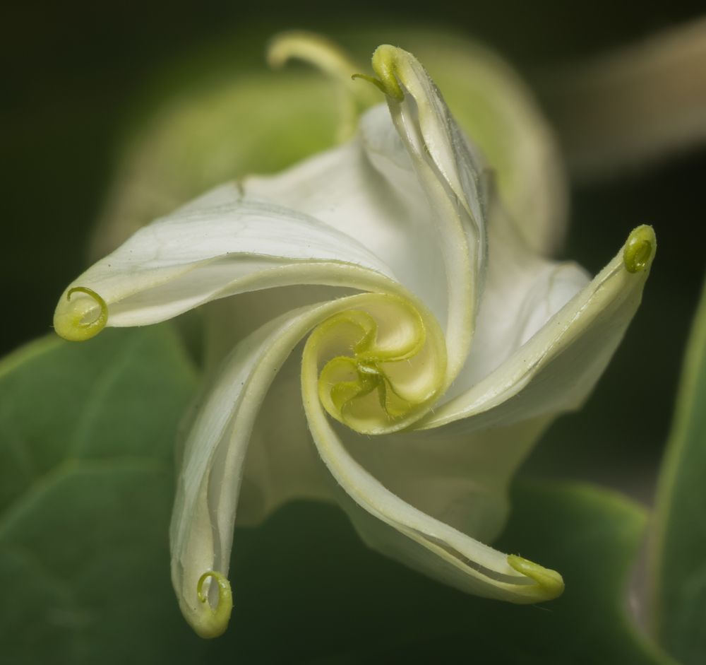 Photograph by Glenroy Blanchette