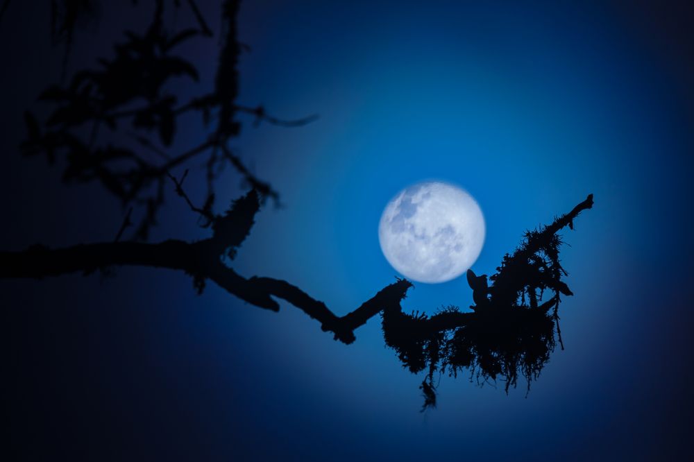 Photograph by Marco Vinicio Garzón Maya