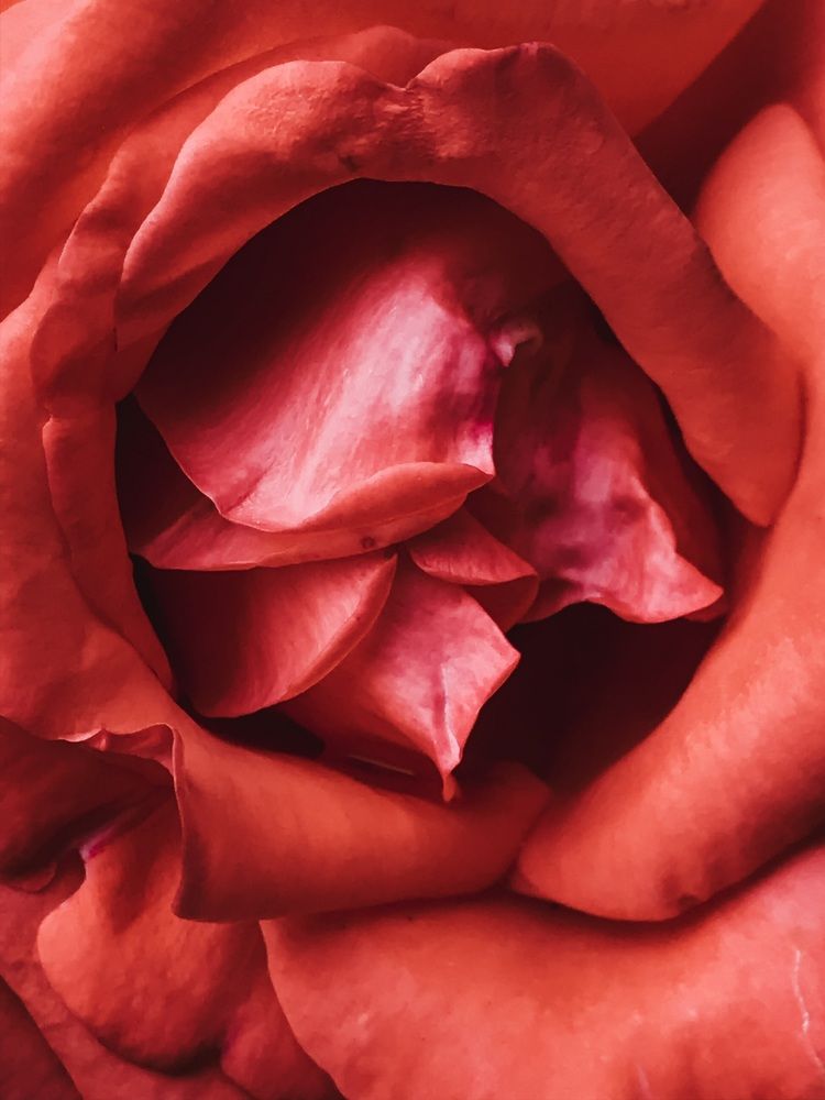 Фотография автора Яна