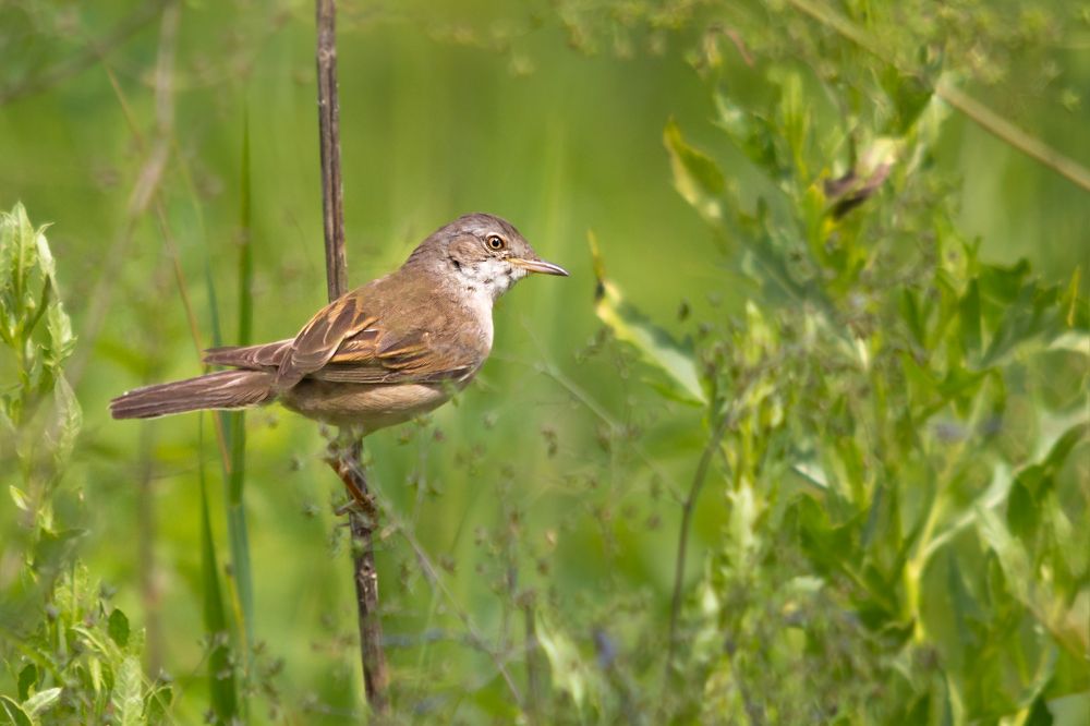 Photograph by Дмитрий Чудинин