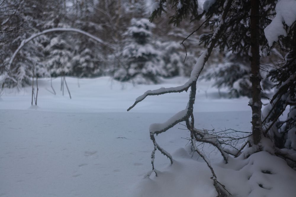 Photograph by Ершов Сергей