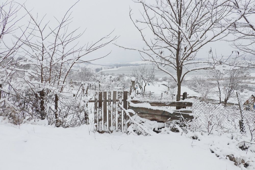 Winter landscape in a village