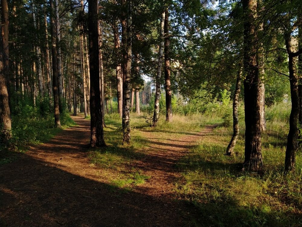 Photo #5836458