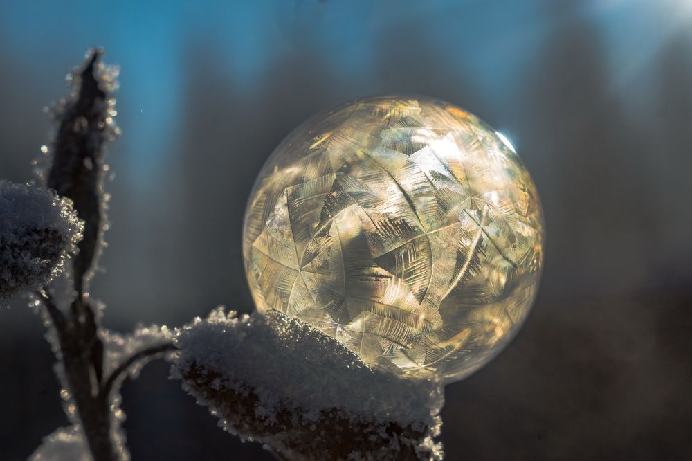 Шарик на траве.