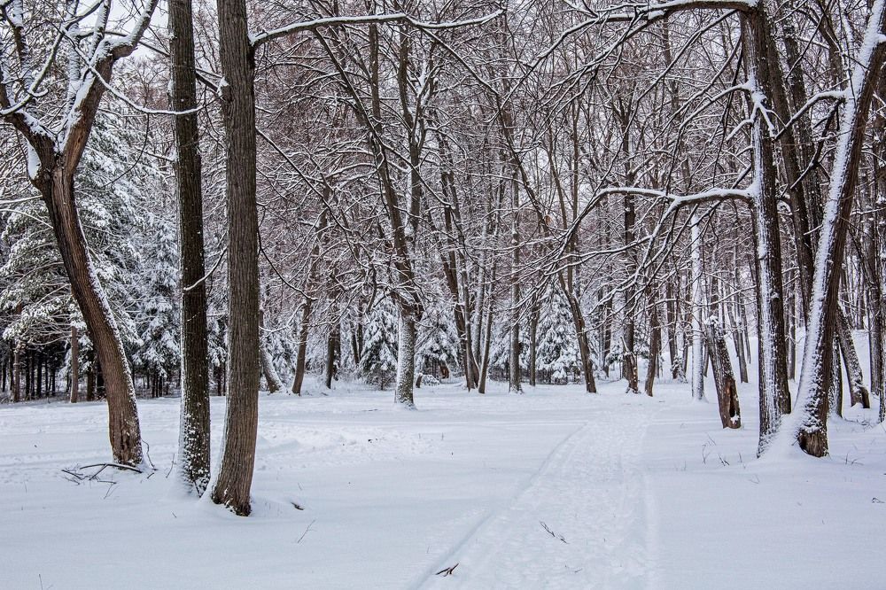 Photograph by Елена