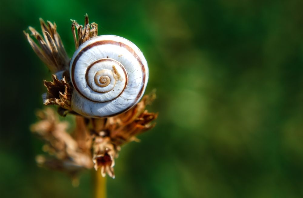 Photograph by Viktória Smid