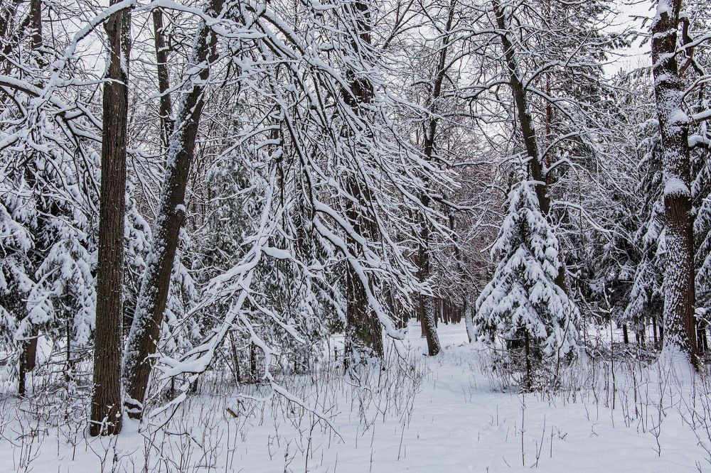 Photograph by Елена