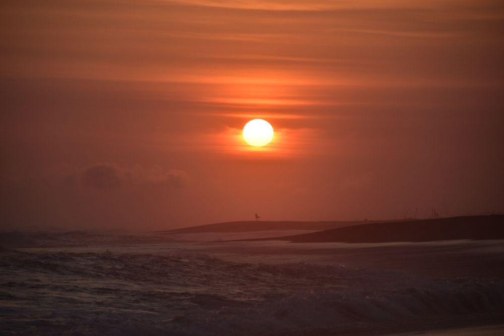 Photograph by Anna Platonova