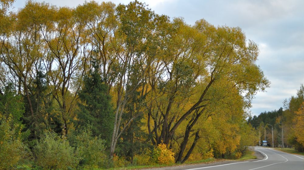 Photograph by Евгений