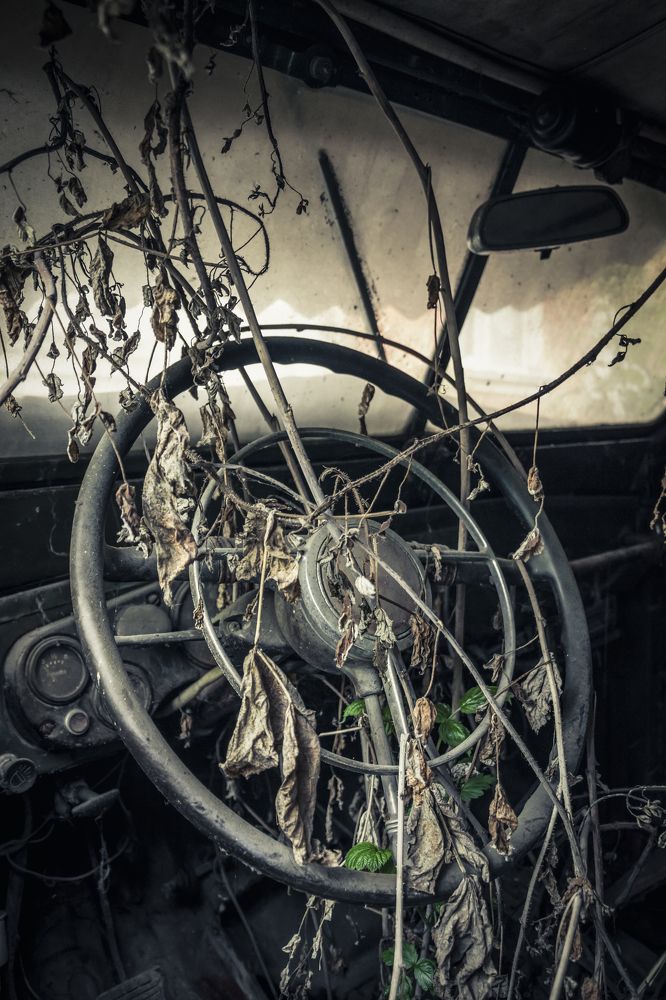 Photograph by Алексей Стариков