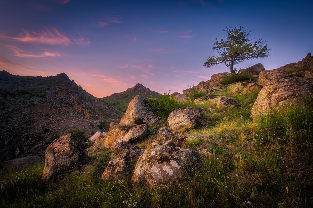 Фотография автора Bogdan Barbulescu
