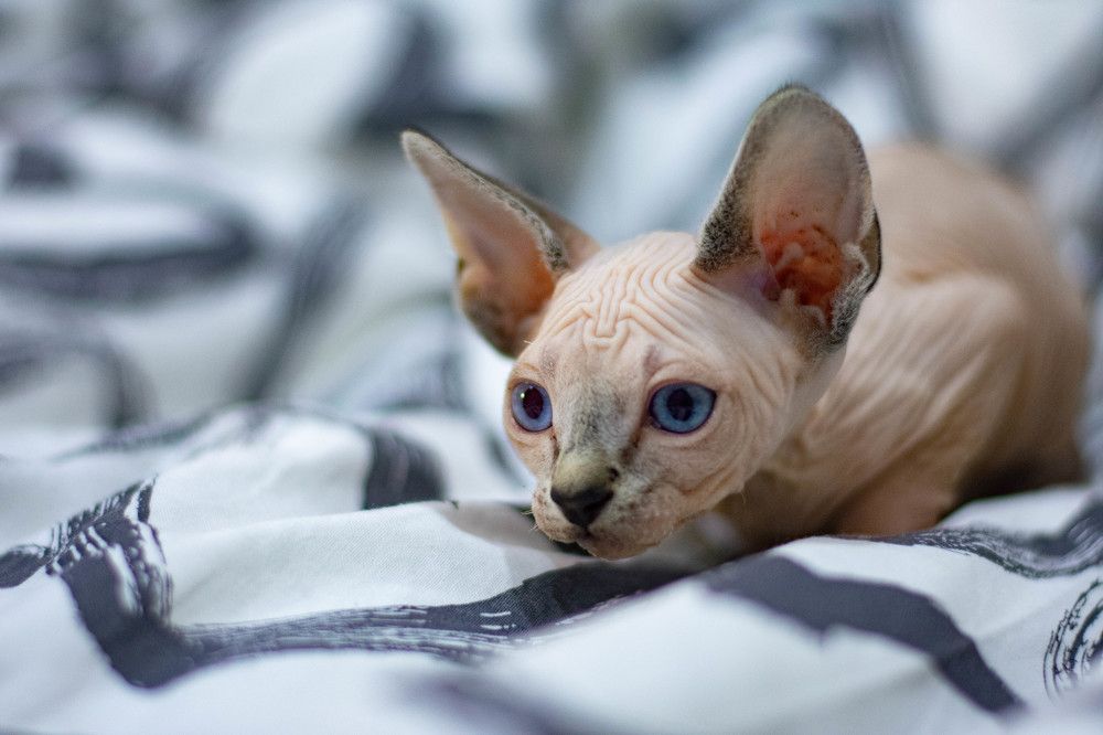 Photograph by Ксения Илюшина