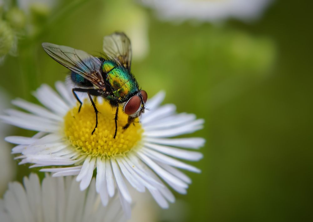Photograph by Viktória Smid