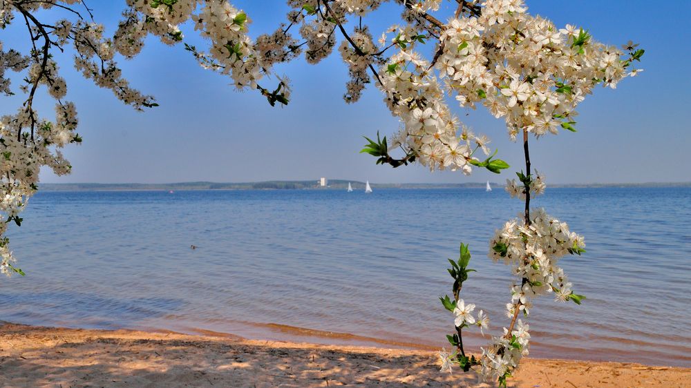 Photograph by Евгений