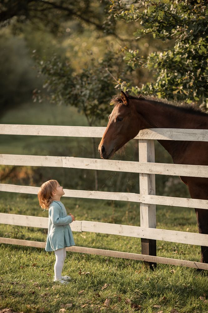 привет, дружок