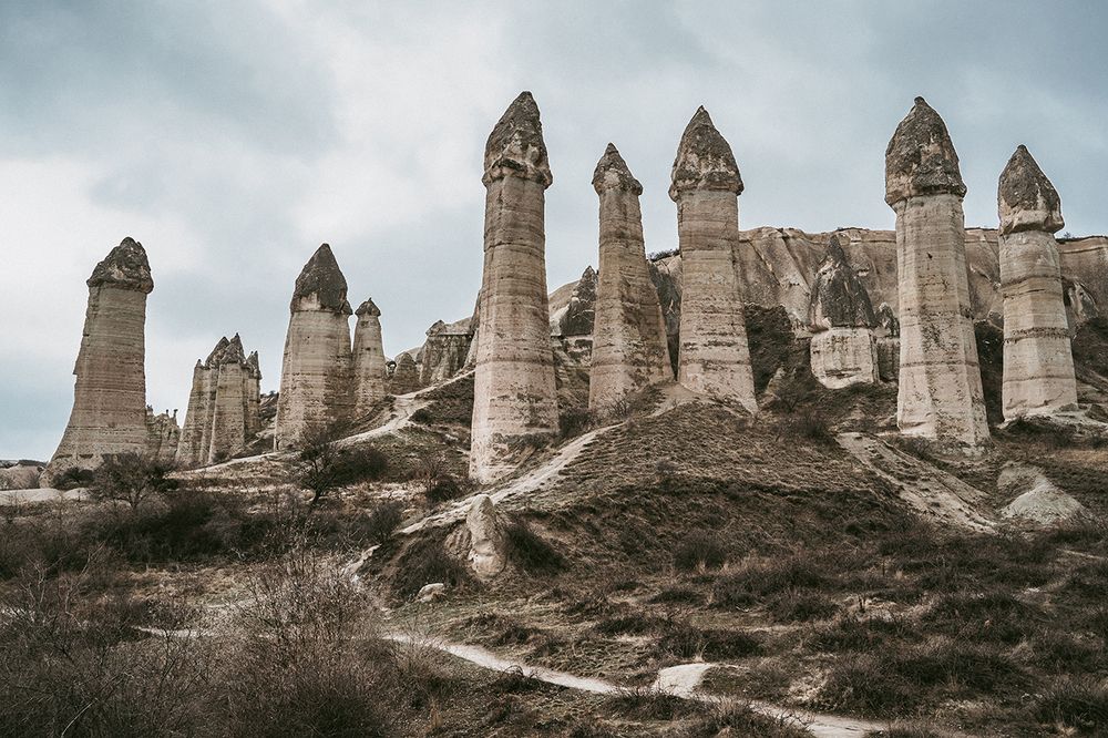 Photograph by Анатолий Гузенко