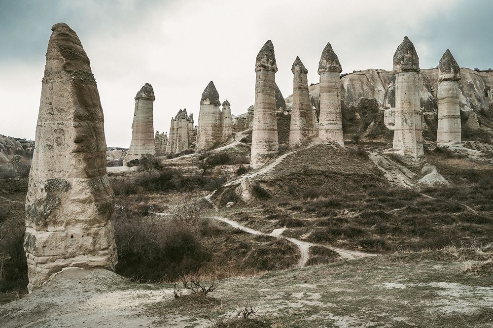 Photograph by Анатолий Гузенко