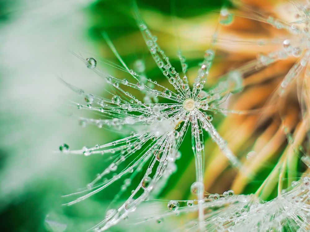 Photograph by андрей гусев