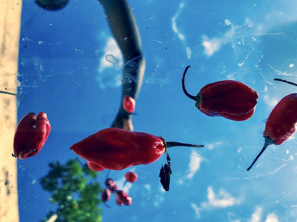 Фотография автора Ampofo Yaw Manu