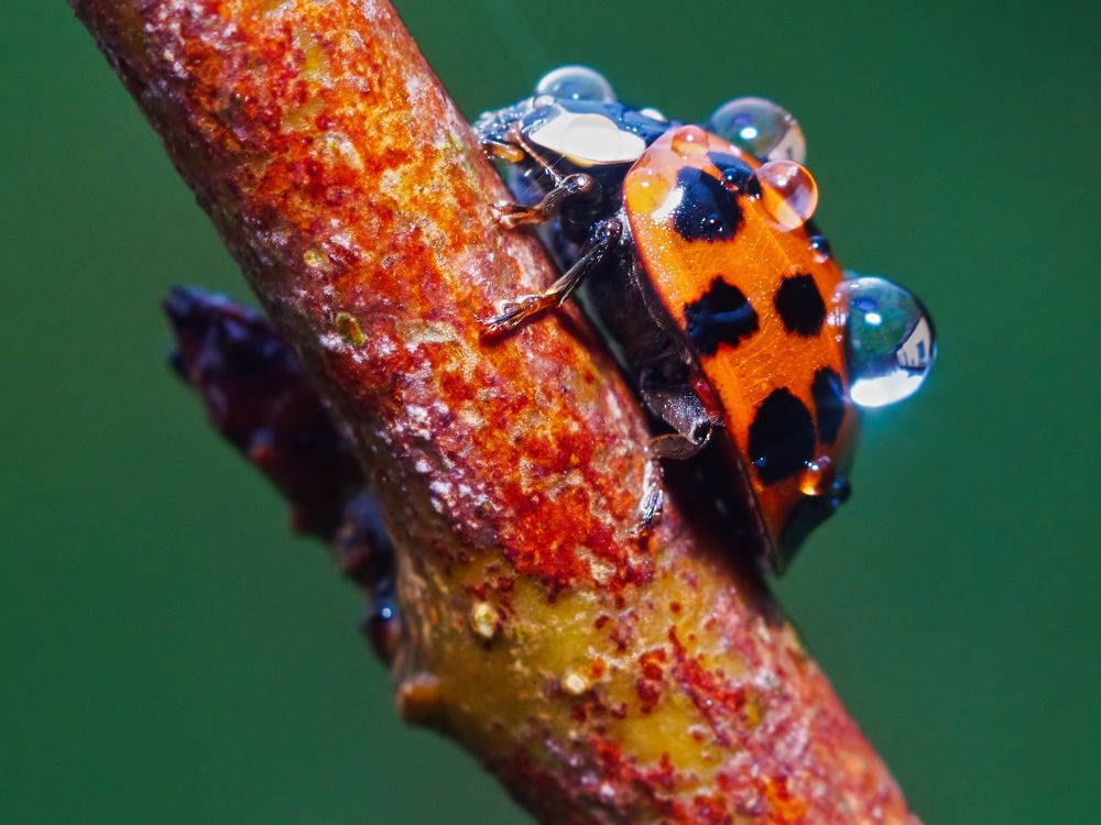 Photograph by андрей гусев