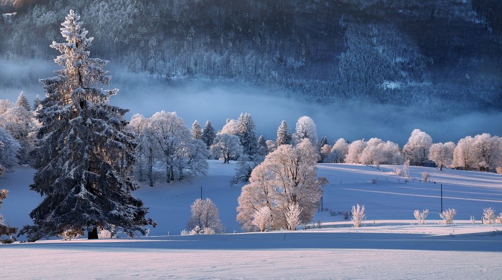 Photograph by Elena Wymann