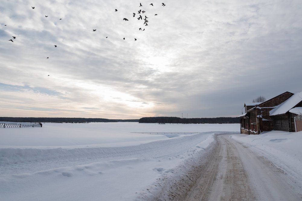 Photograph by Сергей Звягинцев