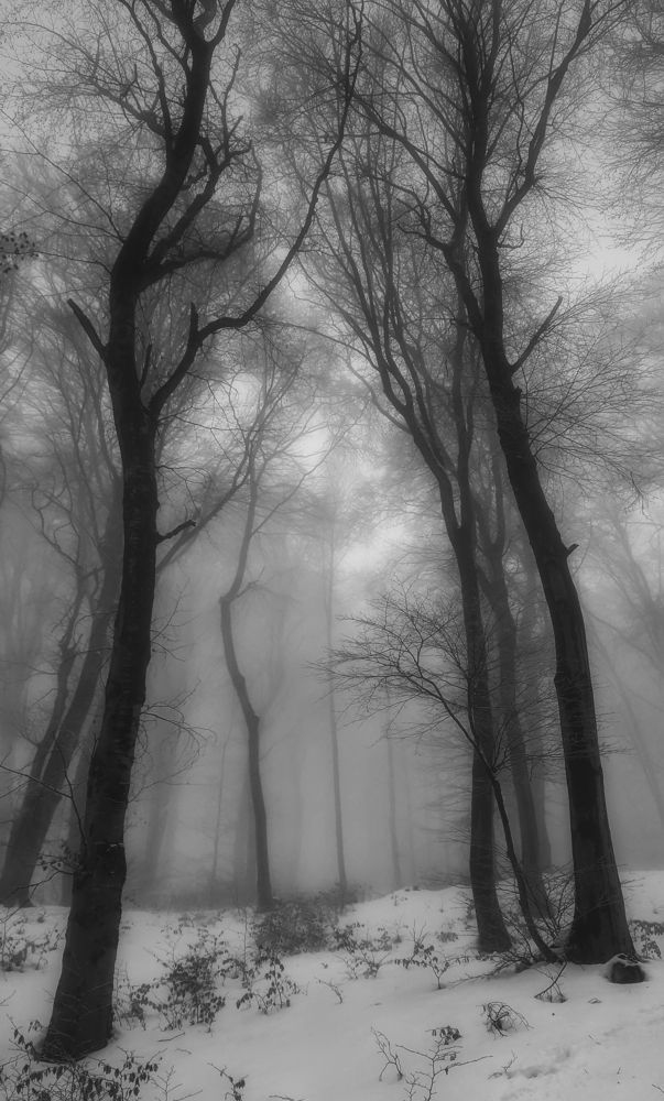 Photograph by Костадин Маджаров