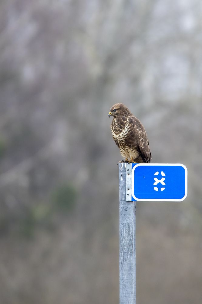 Photograph by Donatas